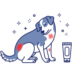 Дерматология (атопические и аллергические дерматиты)