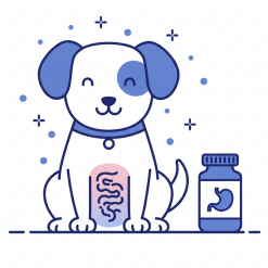 Пищеварительная система