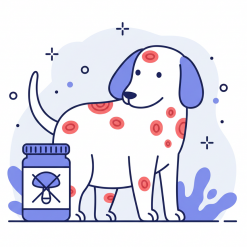 Противогрибковые препараты