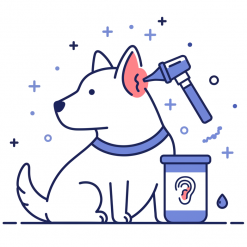 Лечение ушей